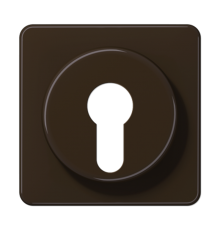 Крышка для выключателя с замком; коричневая  CD528BR  Jung