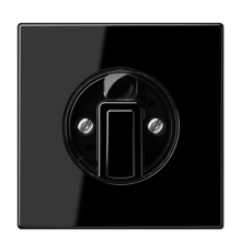 накладка поворотного механизма черная LS1941SW Jung