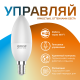 Лампа светодиодная Smart Home DIM+CCT E14 C37 5 Вт 1/10/100  1110112  Gauss
