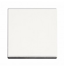 Клавиша для одинарного выключателя; белый  EP490WW  Jung