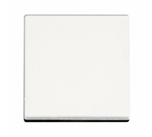 Клавиша для одинарного выключателя; белый  EP490WW  Jung