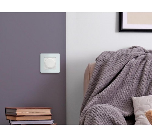 Inspiria Мятный Рамка 1-ая  673935  Legrand