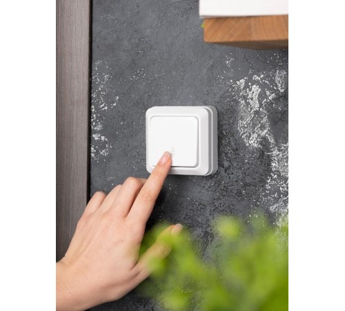 Рим Выключатель проходной 1-клавишный 10А белый EKF  ENV10-025-10  EKF