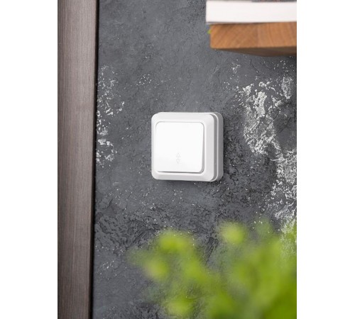 Рим Выключатель проходной 1-клавишный 10А белый EKF  ENV10-025-10  EKF