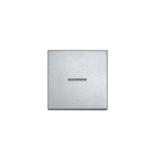 Клавиша для одинарного выключателя с окошком; алюминий  EP490KOAL  Jung