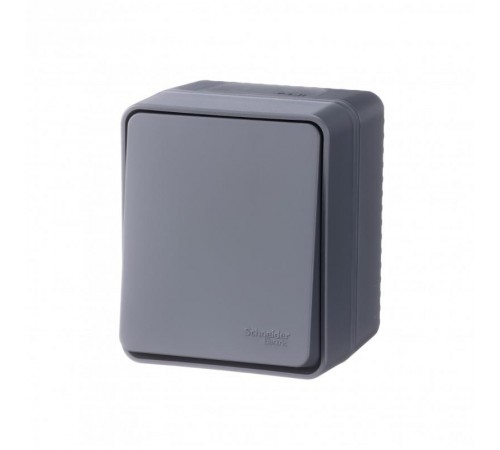 AtlasDesign Profi54 Антрацит О/У Переключатель 1-клавишный 10 АХ   ATN544061  SE