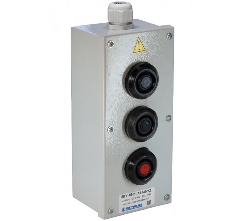 ПКУ-15-21.131-54У2 (2*КЕ081/2(1з+1р) черная + 1*КЕ081/2(1з+1р) красная + PG-19), пост управления (ЭТ)  ET008511  Электротехник