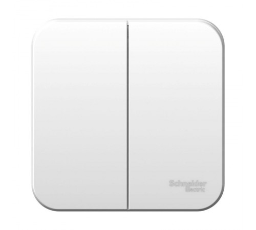 Blanca Белый О/У с изолирующей пластиной Выключатель 2-клавишный 10А, 250B  BLNVA105011  SE