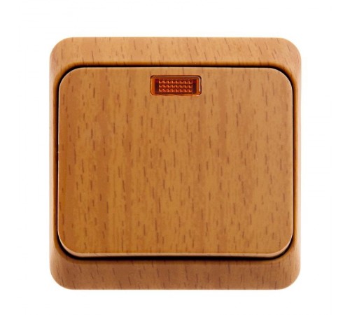 Этюд Бук О/У Выключатель 1-клавишный с подсветкой (сх. 1)  BA10-005T  SE