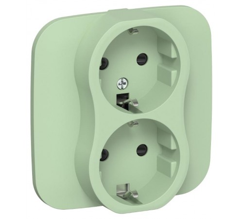 FLITE Розетка 2-ая с заземлением со шторками быстрозажимные клеммы 16А РСш12-1-А-ФлФ фисташковый  FI-R24A-16-1-K93  IEK