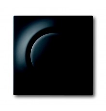 Клав. для светорег. 6550 U-10x, 6560 U-101, 6593 U, реле 6401 U-10x, 6402 U, серия impuls, цвет чёрный бархат  6599-0-2976   2CKA006599A2976  ABB