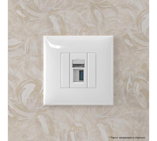 USB 3.0 розетка одинарная в стену, тип А-А, "Avanti", "Белое облако"  4400303  DKC