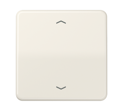 Клавиша для одинарной кнопки BCU; слоновая кость CD590P Jung