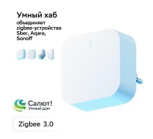 Умный хаб  SBDV-00068  Sber