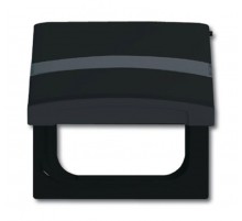 Плата промежуточная с крышкой для центральных плат , с полем для надписи, IP44, серия Allwetter 44, цвет антрацит  1710-0-1993   2CKA001710A1993  A