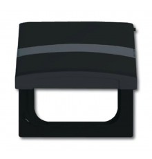 Плата промежуточная с крышкой для центральных плат , с полем для надписи, IP44, серия Allwetter 44, цвет антрацит  1710-0-1993   2CKA001710A1993  A