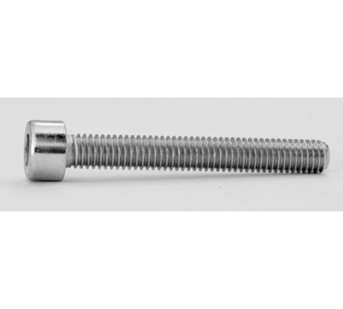 Винт М6х45мм, 20шт.  ZX259P20  ABB