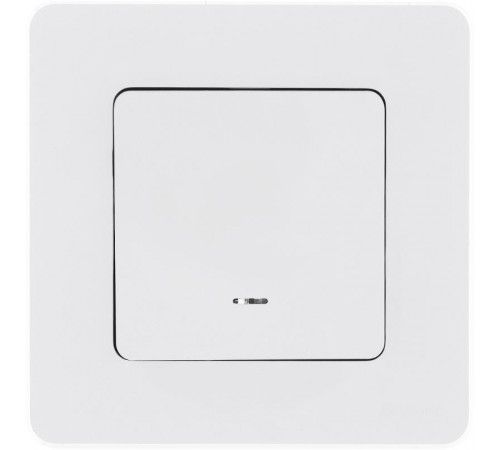 Inspiria Белый Переключатель проходной 1-клавишный с подсветкой С/У без рамки  673660  Legrand