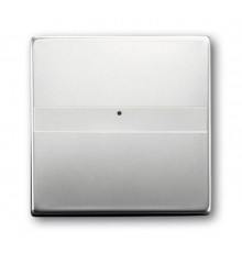 Клавиша с полем для надписи, со световодом, для выключателей/переключателей/кнопок, серия pur/сталь  1731-0-1953   2CKA001731A1953  ABB