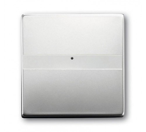 Клавиша с полем для надписи, со световодом, для выключателей/переключателей/кнопок, серия pur/сталь  1731-0-1953   2CKA001731A1953  ABB