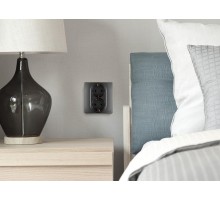 Розетка двойная с заземлением - Legrand Inspiria - со шторками в сборе 16А 250В безвинтовые зажимы - антрацит  673758  Legrand