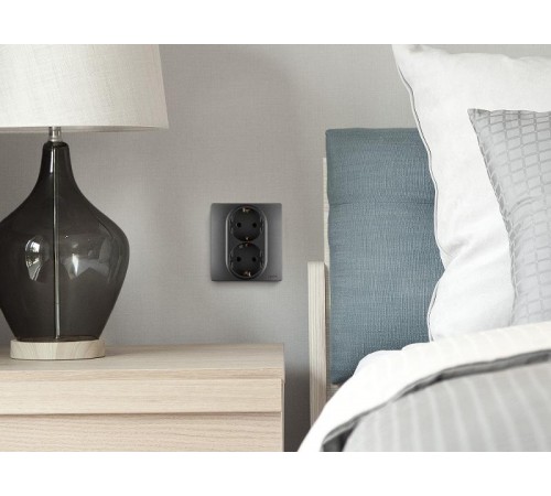 Розетка двойная с заземлением - Legrand Inspiria - со шторками в сборе 16А 250В безвинтовые зажимы - антрацит  673758  Legrand