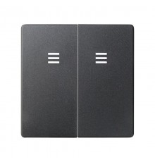 Клавиша двойная для выключателя с голубой подсветкой цвета графит S82  8202025-038  Simon