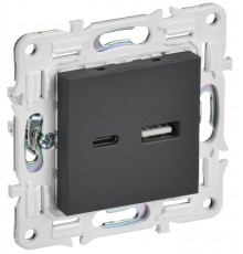 SKANDY Розетка USB A+C 18Вт SK-R13G графит   SK-U22-018-K53  IEK