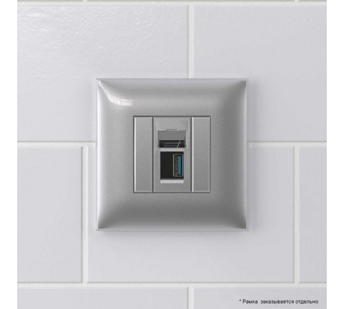 USB 3.0 розетка одинарная в стену, тип А-А, "Avanti", "Закаленная сталь"  4404303  DKC