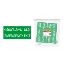 Знак "ЗАПАСНЫЙ ВЫХОД" 200х100мм (армянский язык)  SQ0817-0075  TDM