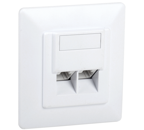 Розетка информац. для внутр. монтажа RJ45 2 порта IDC Dual  CS2-1C5EU-21  ITK