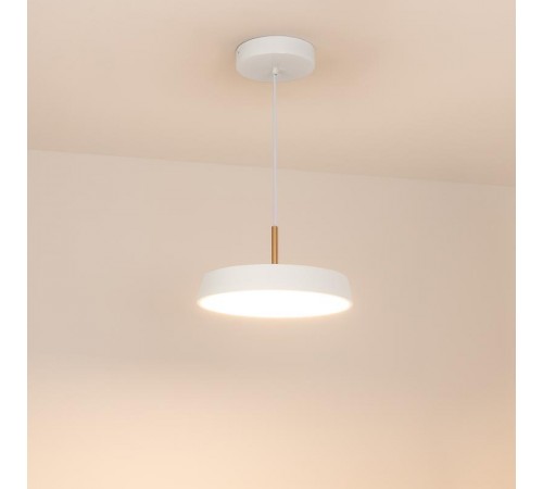 Светильник SP-ELEGANT-R300-17W Warm3000 (WH, 120 deg, 230V) (arlight, IP20 Металл, 3 года)  033914  Arlight