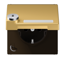 SCHUKO розетка с крышкой и замком ME1520NAKLSLC Jung