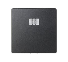 Simon 82 Клавиша для кнопочного выключателя с подсветкой под пиктограммы, S82, S82N, S82 Detail, графит  82013-38  Simon