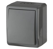 Выключатель IP54, 10АХ-250В, 11-1401-03, ОУ, Эксперт, Серый Б0020670  ЭРА