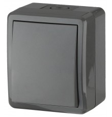 Выключатель IP54, 10АХ-250В, 11-1401-03, ОУ, Эксперт, Серый Б0020670  ЭРА