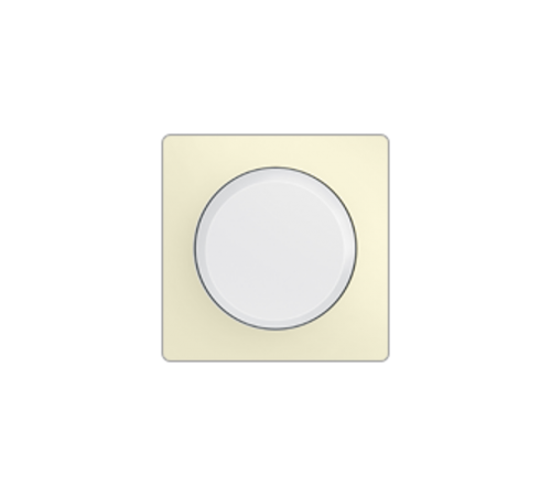 Valena LIFE Сл.кость Лампа аварийного освещения съемная (с лицевой панелью)  752169  Legrand