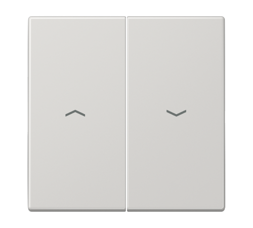 Клавиша для выключателя управления жалюзи; светло-серая  LS995PLG  Jung