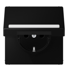 Розетка SCHUKO® с крышкой, с полем для надписи; термопласт; черный матовый   LS1520BFNAKLSWM  Jung