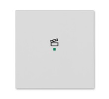 ABB Levit Серый Клавиша 1-ая с символом сцены free@home  6220H-A01003 16  2CHH621003A4016  ABB