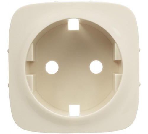 Valena ALLURE Сл.кость Накладка розетки с/з  755206  Legrand