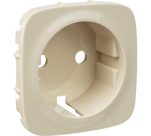 Valena ALLURE Сл.кость Накладка розетки с/з  755206  Legrand