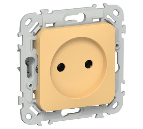 FLITE Розетка без заземления без шторок быстрозажимные клеммы 10А РС01-1-ФлЗ золотарник  FI-R10-10-1-K90  IEK