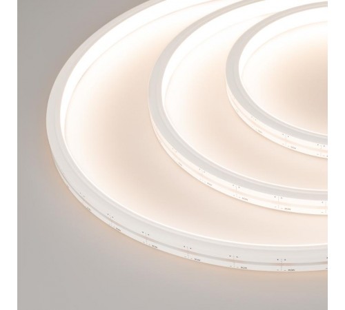 Гибкий неон ARL-MOONLIGHT-1213-TOP 24V White-MIX (arlight, 12 Вт/м, IP67)  029806  Arlight