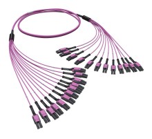 Оптическая разветвительная сборка 24ОВ 50/125 OM4, 12хLC Duplex Uniboot/12хLC Duplex Uniboot, 10м  RNFLL24410  DKC