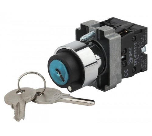 Переключатель LAY5-BG45 на 2 положения с ключом без фиксации (20/200/4000)  Б0045688  ЭРА