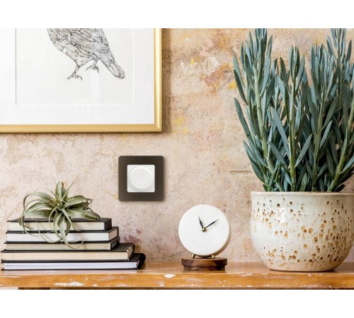 Inspiria Бронза Рамка 1-ая  673939  Legrand