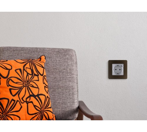 Inspiria Бронза Рамка 1-ая  673939  Legrand