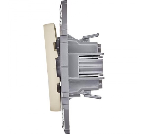 Inspiria Слоновая кость Выключатель 2-клавишный С/У без рамки  673621  Legrand