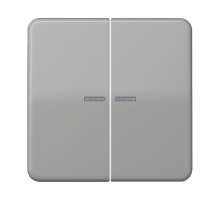 Клавиши для сдвоенных выключателей с подсветкой; серые  CD595KO5GR  Jung